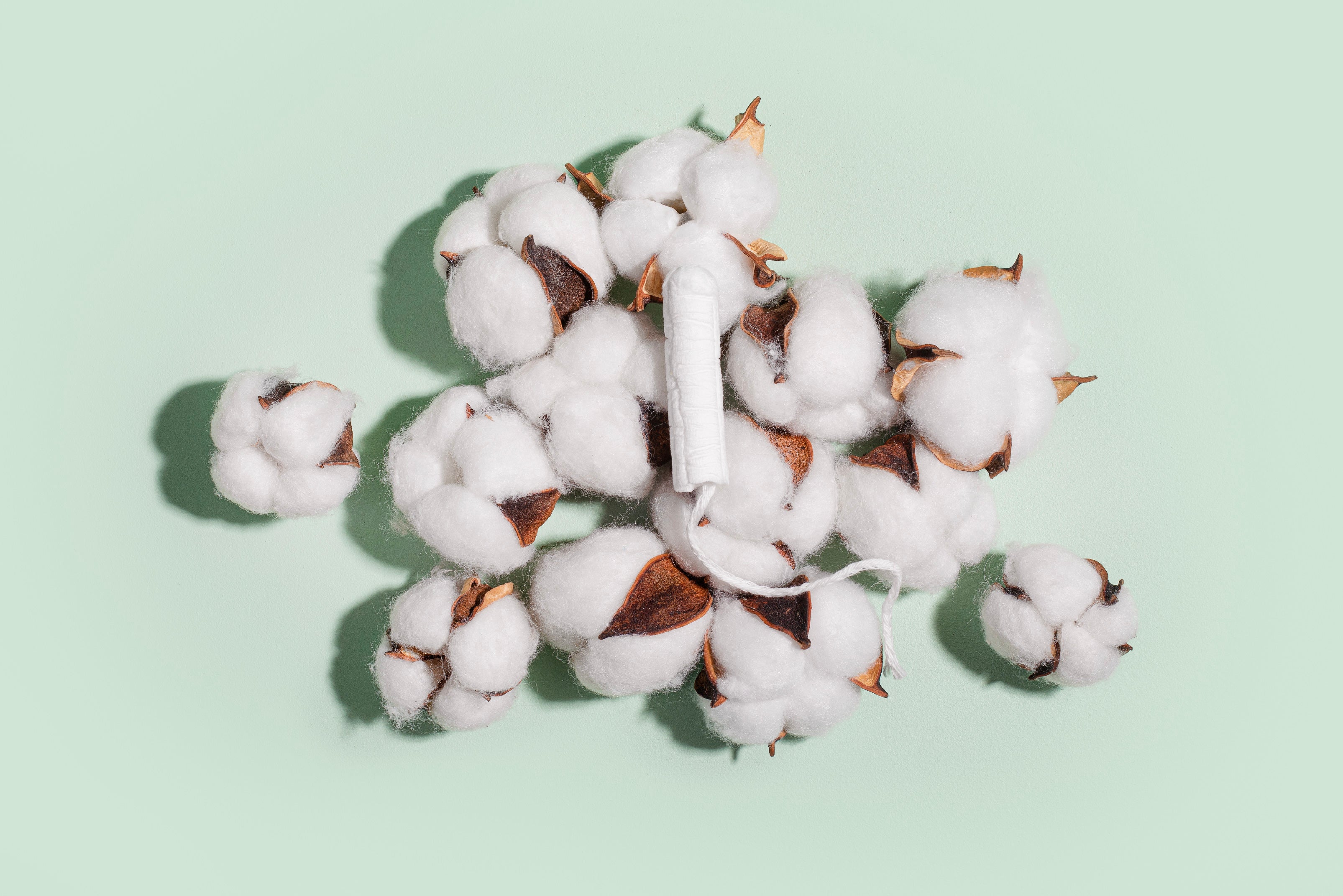 A tampon laying on a pile of cotton balls against a green background.